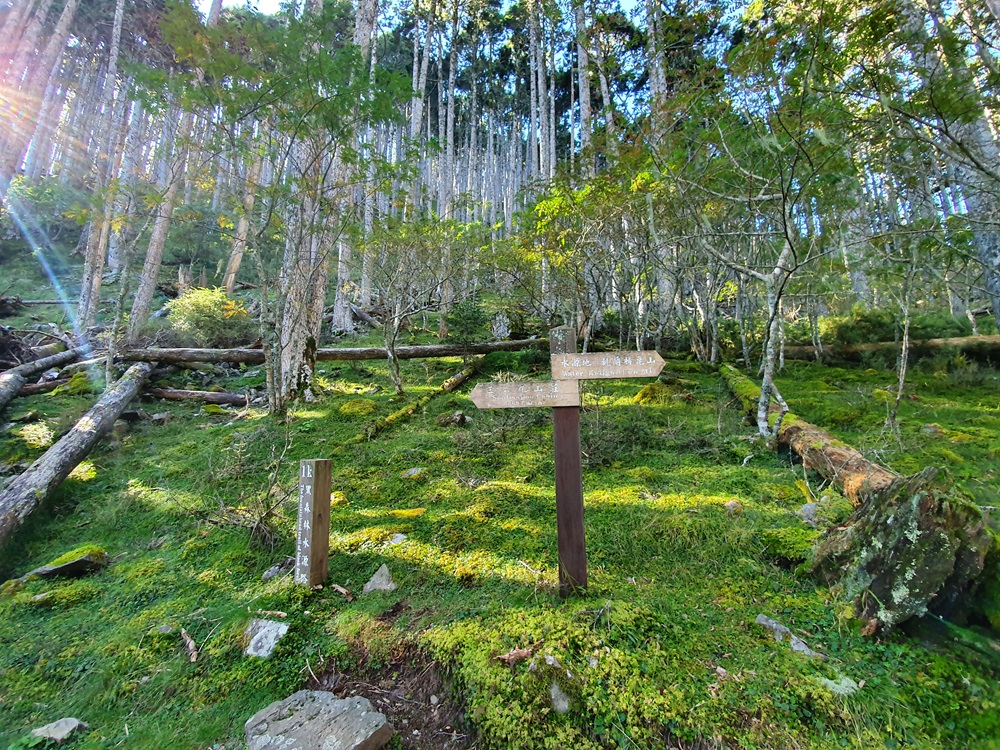 聖稜線【雪山北峰下翠池】｜五天四夜