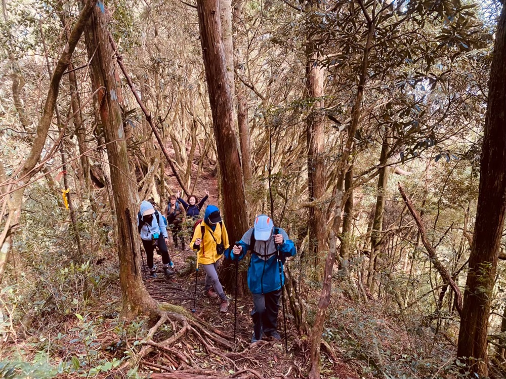 森林步道【高島縱走】｜一天